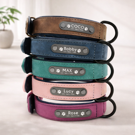Custom Leather Dog Collar – Padded & Personalized