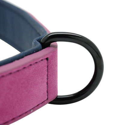 Custom Leather Dog Collar – Padded & Personalized