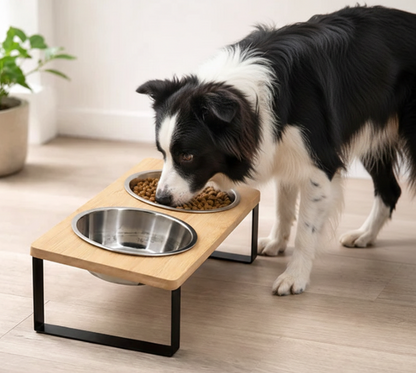 Elevated Pet Feeding Bowls